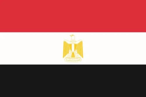 埃及GOEIC認證怎么申請